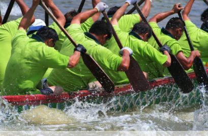 Organisation team building pour une équipe cohésive 